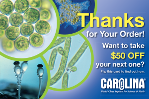 Thank you postcard side one