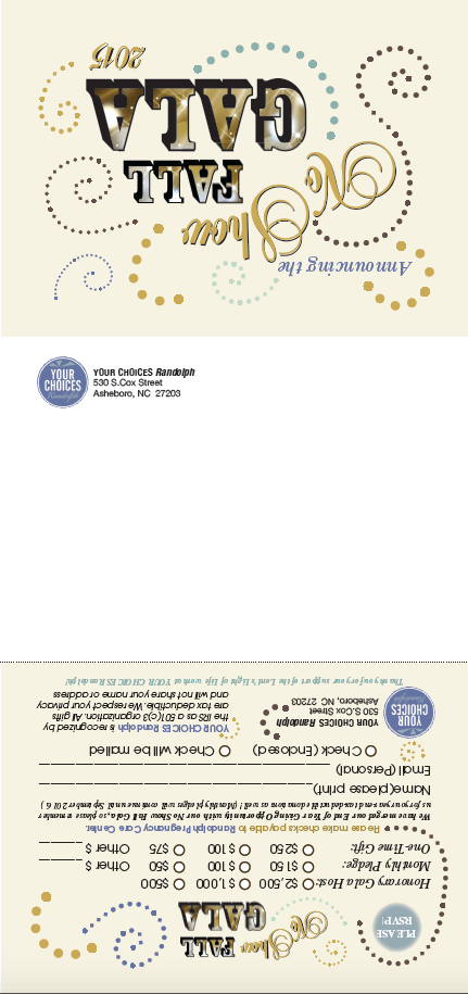 Your Choices Randolph Fundraising Trifold Mailer 2015 Outside