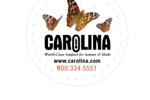 A container lid for butterfly larvae