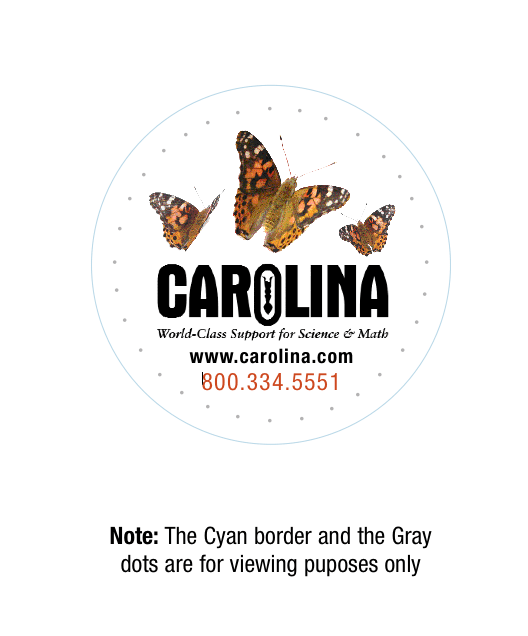 A container lid for butterfly larvae