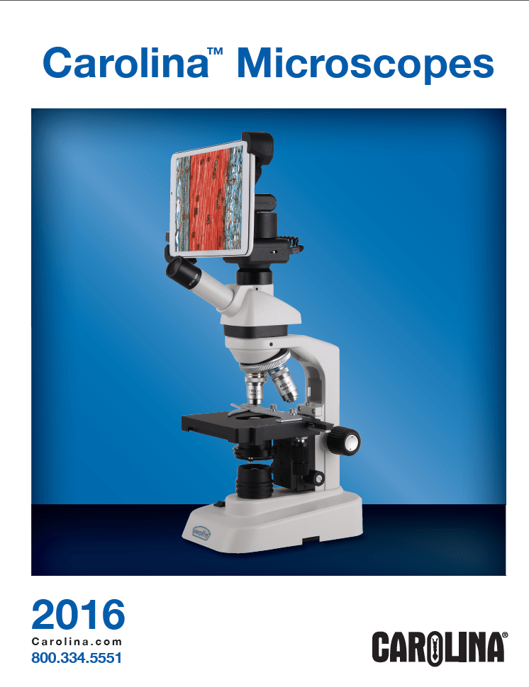 Image of microscope on blue background with an adapter to view small slide in a digital format