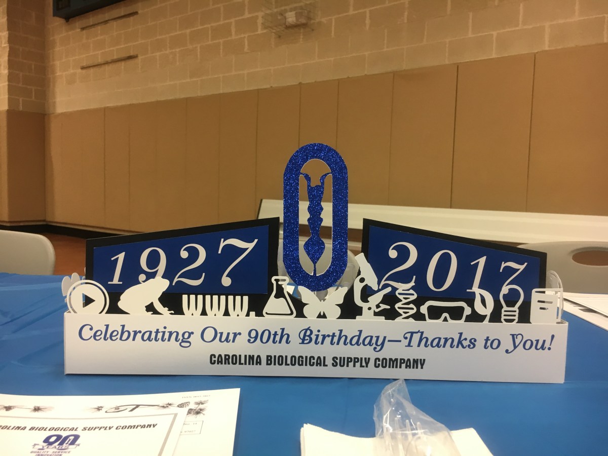 A 3 dimensional centerpiece with the company logo in the center with the specific years on either side and surrounded by paper silhouette cut outs of symbols representing various areas of the company