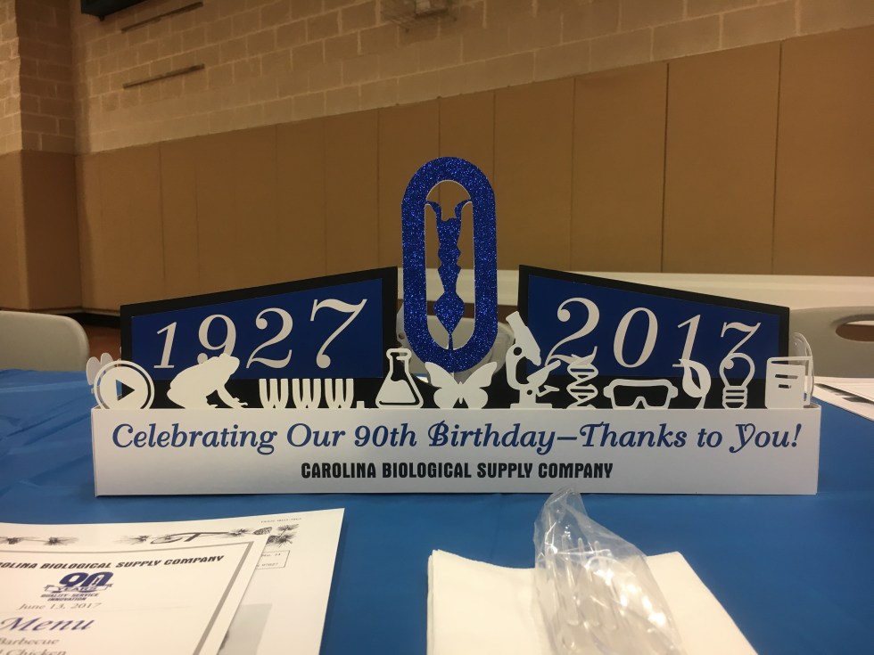A 3 dimensional centerpiece with the company logo in the center with the specific years on either side and surrounded by paper silhouette cut outs of symbols representing various areas of the company